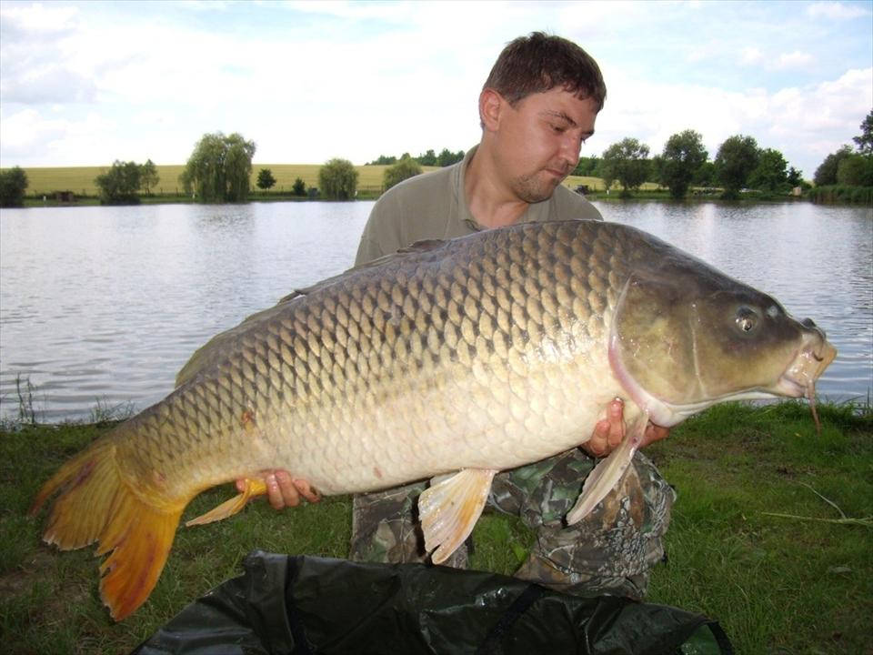 24.19 kg pentru Senzor Pesca